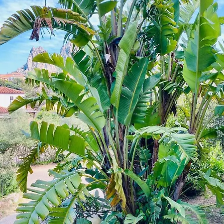 Casa Strelitzia Holiday home San Pantaleo